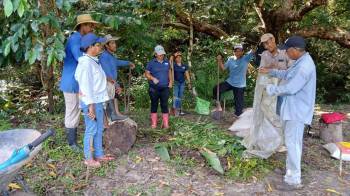 Productores que participaron en el programa de cooperación triangular con América Latina y el Caribe, se desarrolla el proyecto Fortalecimiento de capacidades I+P+P (Innovación + Promoción + Pago)