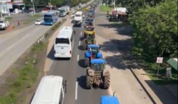 ‘El futuro del arroz está en peligro, y con él, el empleo de miles de personas’, dijeron voceros de los agricultores.