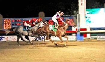 El Tigre Mono’, último ganador de un equino panameño en el Clásico Internacional del Caribe