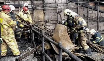 Según las autoridades rusas, al menos 115 personas murieron luego de que asaltantes armados abrieran fuego al público de un concierto.