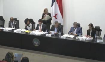Esta norma fue presentada por el canciller de la República, Javier Martínez-Acha, el jueves 5 de septiembre.