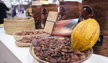 Fotografía de archivo en la que se registraron varios granos y frutos de cacao, durante la inauguración de la octava edición del Salón del Cacao y Chocolate, en el Centro de Convenciones de Lima (Perú).