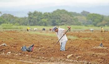 la probabilidad del desarrollo de las condiciones de La Niña es mayor del 65% en el segundo semestre de este año.