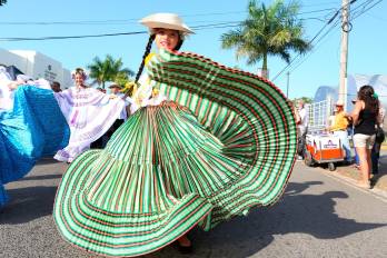 El 22 de julio se instituyó como el Día Nacional de la pollera.