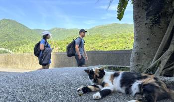 Escondido en las montañas del norte de Taiwán existe un pueblo que dejó atrás décadas de explotación minera para rendirse al amor por los gatos: Houtong