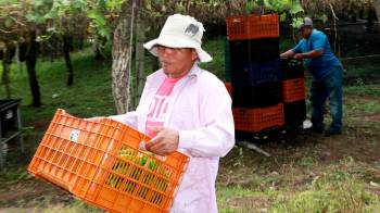 El préstamo servirá para la compra de equipo e insumos para mejorar los procesos productivos.