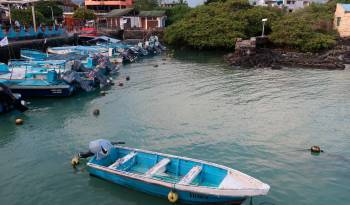 Fotografía de archivo del 23 de enero de 2021 de embarcaciones de pesca artesanal amarradas a un embarcadero de Puerto Ayora, en la isla de Santa Cruz del archipiélago de Galápagos (Ecuador).