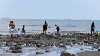 El pacífico Oriental desde el Golfo y Bahía de Panamá, Darién y Panamá Oeste se encuentran entre las zonas bajo vigilancia por el Sinaproc.