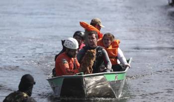 Voluntarios rescatan a un perro en una inundación en el río Gravataí, este martes en el barrio de Matias Velho, en Canoas, norte de Porto Alegre.