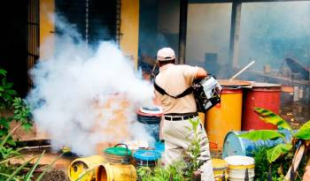 Coclé registra la primera muerte por hantavirus