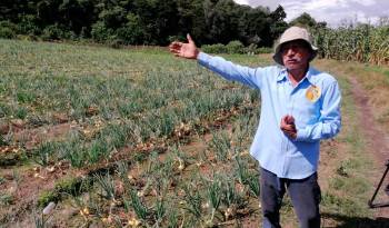 Los productores reclaman apoyo para el mejoramiento de la productividad, a la agrotecnología, acceso al crédito, a la educación agropecuaria, a la agricultura familiar, al aprovechamiento alimentario; pero adecuado al marco institucional del sector.