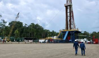 La minería formal y ambientalmente responsable, el turismo y la agricultura son los tres sectores de mayor potencial identificados por el Banco Mundial para que Ecuador diversifique su economía.