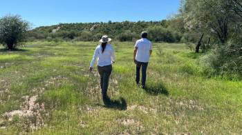 Fotografía cedida por Tanya Lugo Delgado que muestra personas de la organización Alis en las unidades de riego que forman parte de la cuenca del río Sonora ofreciendo capacitación para impulsar actividades de recuperación de suelos, siembra mixta y agroforestería.
