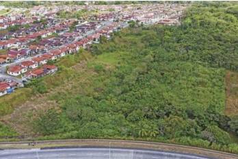 Se trata de fincas con diversas elevaciones.