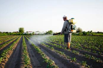 Un agricultor riega con fertilizantes sus cultivos.