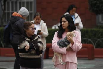 Un terremoto de 6,5 grados de magnitud se registró este viernes en México.