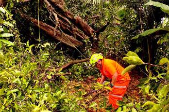 Se le reitera a la población mantenerse atenta a los avisos meteorológicos
