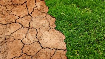 El cambio climático, además de los seres vivos, también impacta la productividad agrícola, los ingresos y el desarrollo de los países.