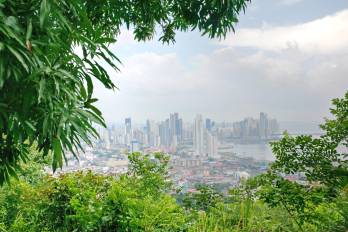 La medición del BIOFIN permite conocer dónde se encuentra Panamá en materia de gasto de biodiversidad y generar información para determinar los siguientes pasos.