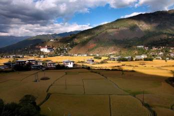 Campos agrícolas de Bután.