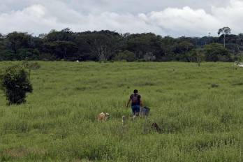 Campesinos caminan por los campos deforestados de Guaviare (Colombia), en una imagen de archivo. EFE/ Mauricio Dueñas Castañeda