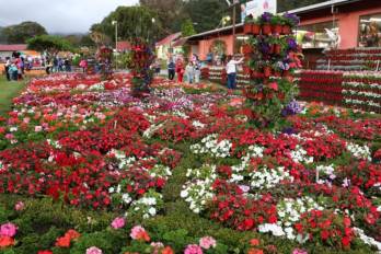 Feria de las Flores y del Café en Boquete