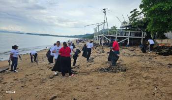 Participaron más de 500 voluntarios.