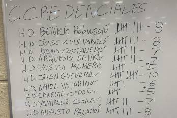 Aún no se definen las directivas de las comisiones.