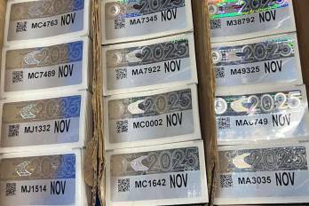 La Alcaldía de Panamá hace llamado a los conductores a retirar las calcomanías y placas del mes de noviembre.