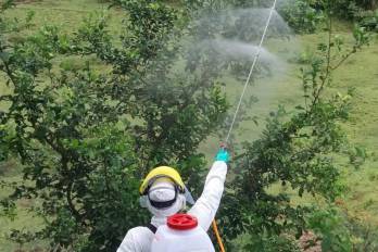 El Mida adoptó medidas para restringir el uso de plaguicidas asociados a riesgos para la salud.