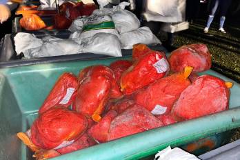 IMA abre proceso de compra de jamón picnic para Naviferias