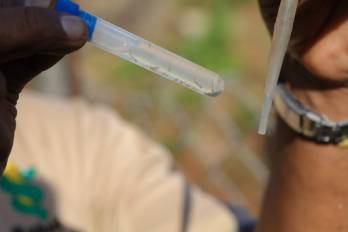 El Minsa reporta reducción de casos de dengue en Panamá, pero pide no bajar la guardia