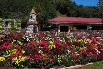 Feria Internacional de las Flores y del Café