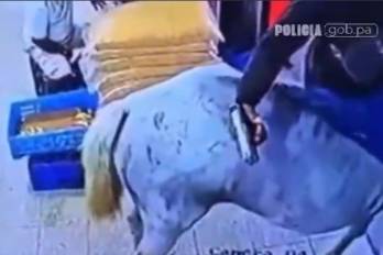Las autoridades buscan un caballo tras robo a mano armada en un minisúper de Río Hato