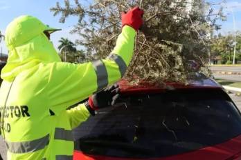 Los centros de acopio estarán disponibles del 7 al 11 de enero de 2026.