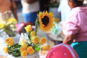 Flores amarillas, el detalle que marca cada 21 de septiembre.