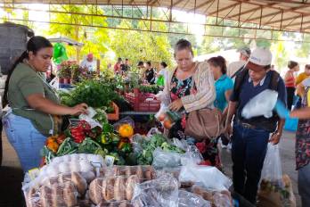 El IMA realizará agroferias en solo dos puntos este sábado 31 de octubre