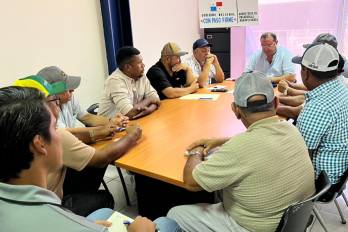 El IMA establece bases para adquirir 30 mil quintales de frijol.