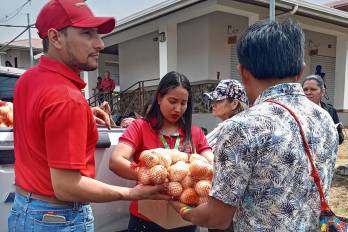 El IMA llama al sector privado para procesar la cebolla y extender su vida útil