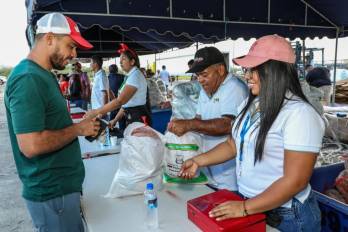 El IMA anuncia nuevas fechas de naviferias en la provincia de Panamá.