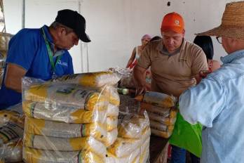 El IMA llevará agroferias a varios puntos del país