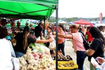 Merca Panamá es la principal central de abastos del país, donde productores nacionales comercializan frutas, vegetales, raíces y tubérculos frescos.