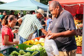 El IMA lleva agroferias a distintos puntos del país este jueves 27 de agosto