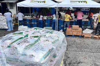 Este 2 de diciembre vuelven las naviferias del IMA con jamón picnic y más.