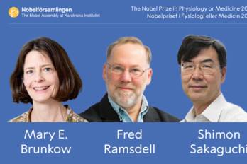 Nobel Medicina para Brunkow, Ramsdell y Sakaguchi por tolerancia inmunológica periférica.