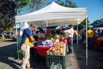 Las agroferias del IMA estarán en distintos puntos del país con precios accesibles.