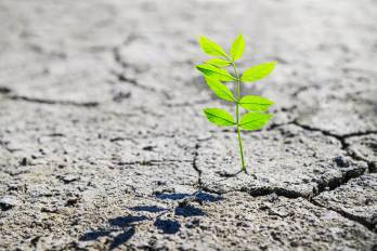 Resiliencia climática: el imperativo estratégico para la continuidad del negocio