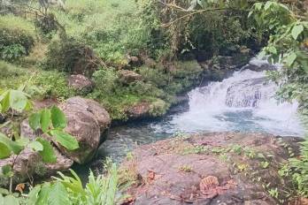 Desde septiembre de 2024 los maestros solicitaron puentes zarzo al gobierno de turno para cruzar ríos como este, en la comarca Ngäbe-Buglé.