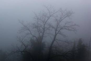Los barrios altos de Donostia han amanecido este martes bajo una densa niebla.