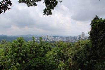 Vista de la ciudad de Panamá desde el Parque Natural Metropolitano.